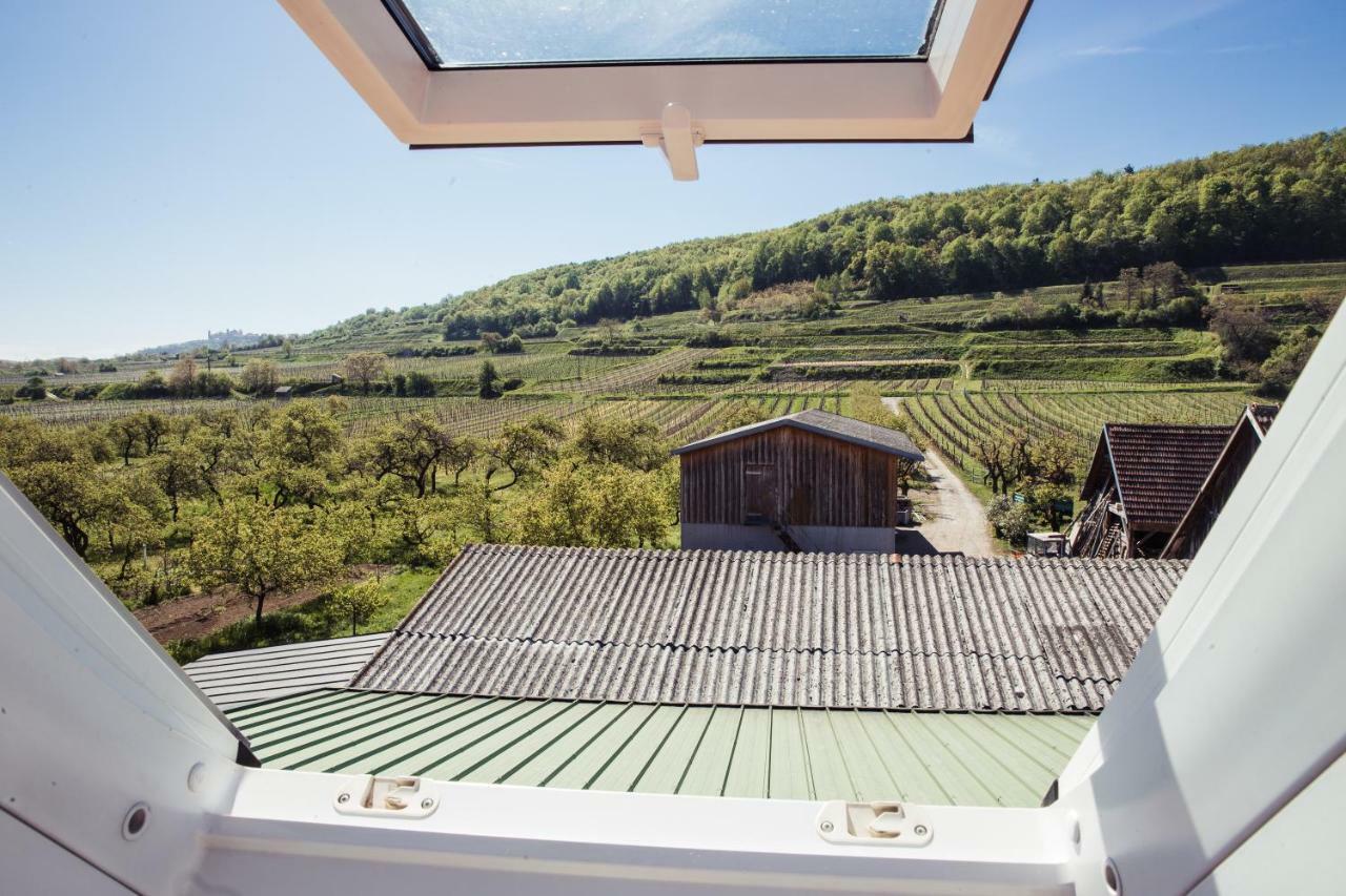 Weingut Jakob'S Ruhezeit Mautern an der Donau Esterno foto