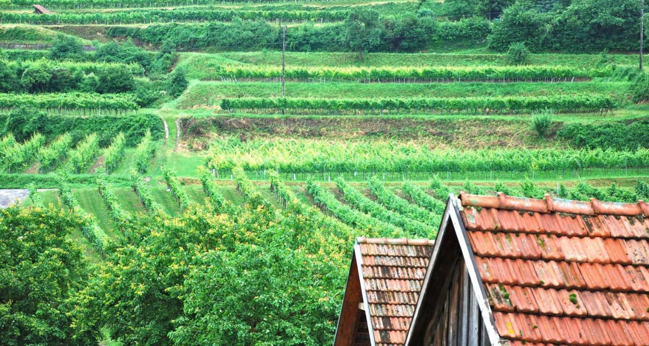 Weingut Jakob'S Ruhezeit Mautern an der Donau Esterno foto